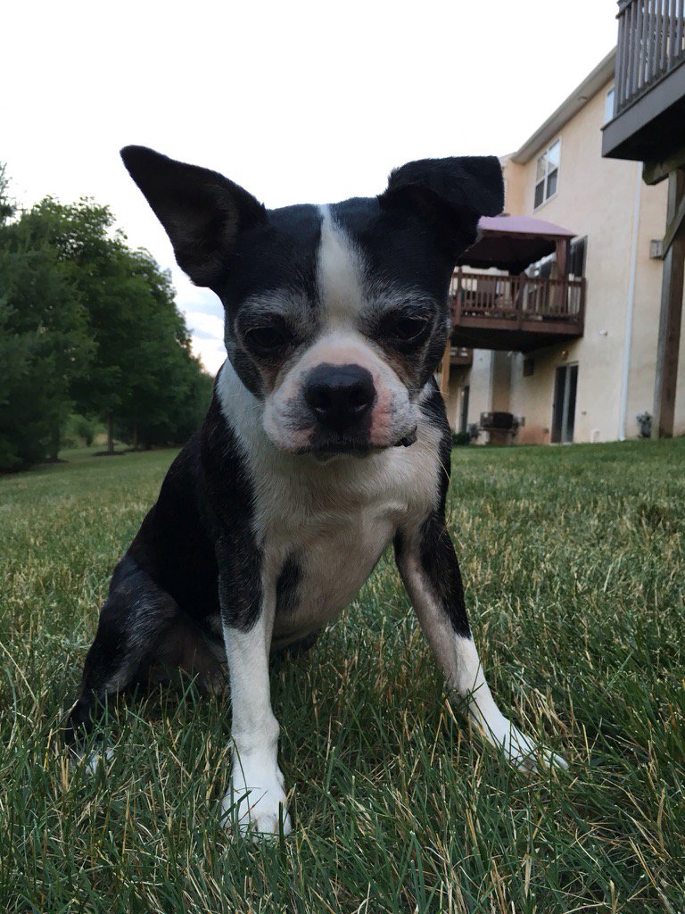 June C Orrell tweet media