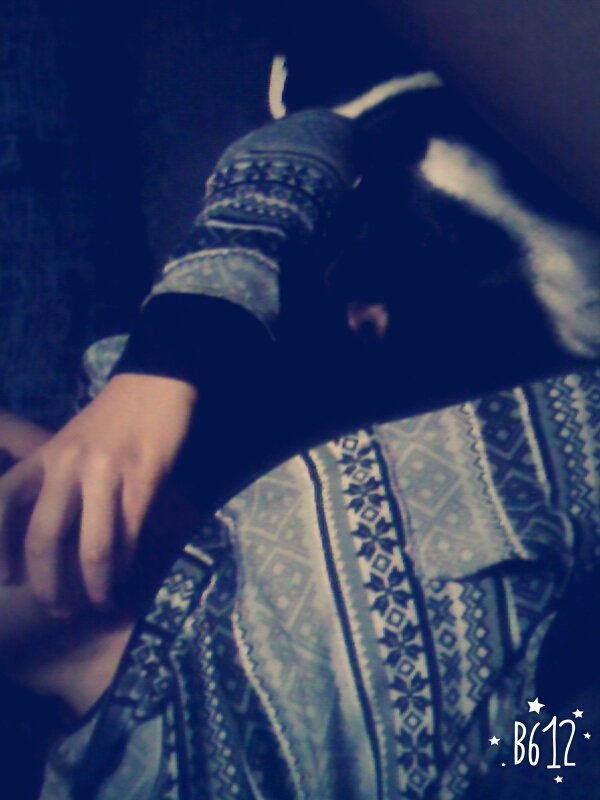 Petitceleste's tweet photo. 🐶💕 https://t.co/XHOZAtEFU0