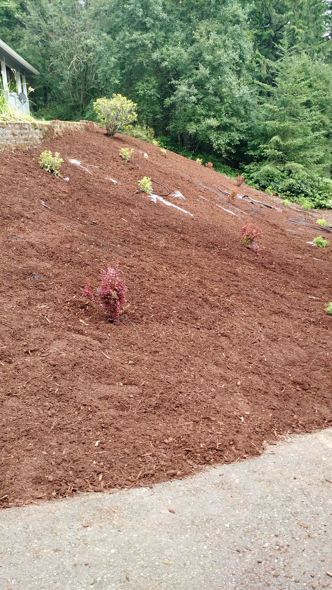 Weed fabric and new bark on the slope near long lake