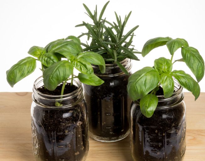 TreehuggerTwo's tweet photo. How to test your soil using only a Mason jar https://t.co/qEUrbYjKhR https://t.co/u0J4CCOxVq