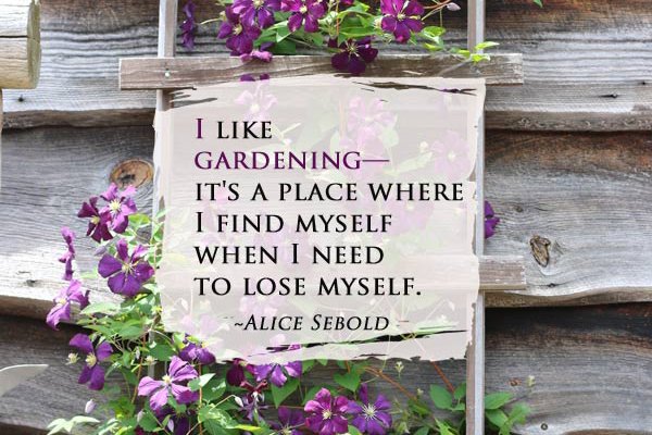 empressofdirt's tweet photo. The Truth About Gardening https://t.co/Dlc5JNI4lK https://t.co/eFv1Feck6P
