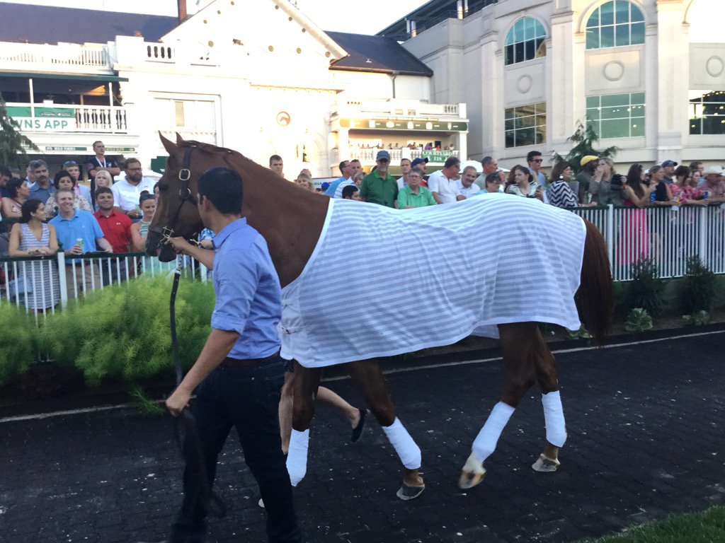 AHughesMedia's tweet image. He's going to be so mad when they leave the paddock without him #WiseDan