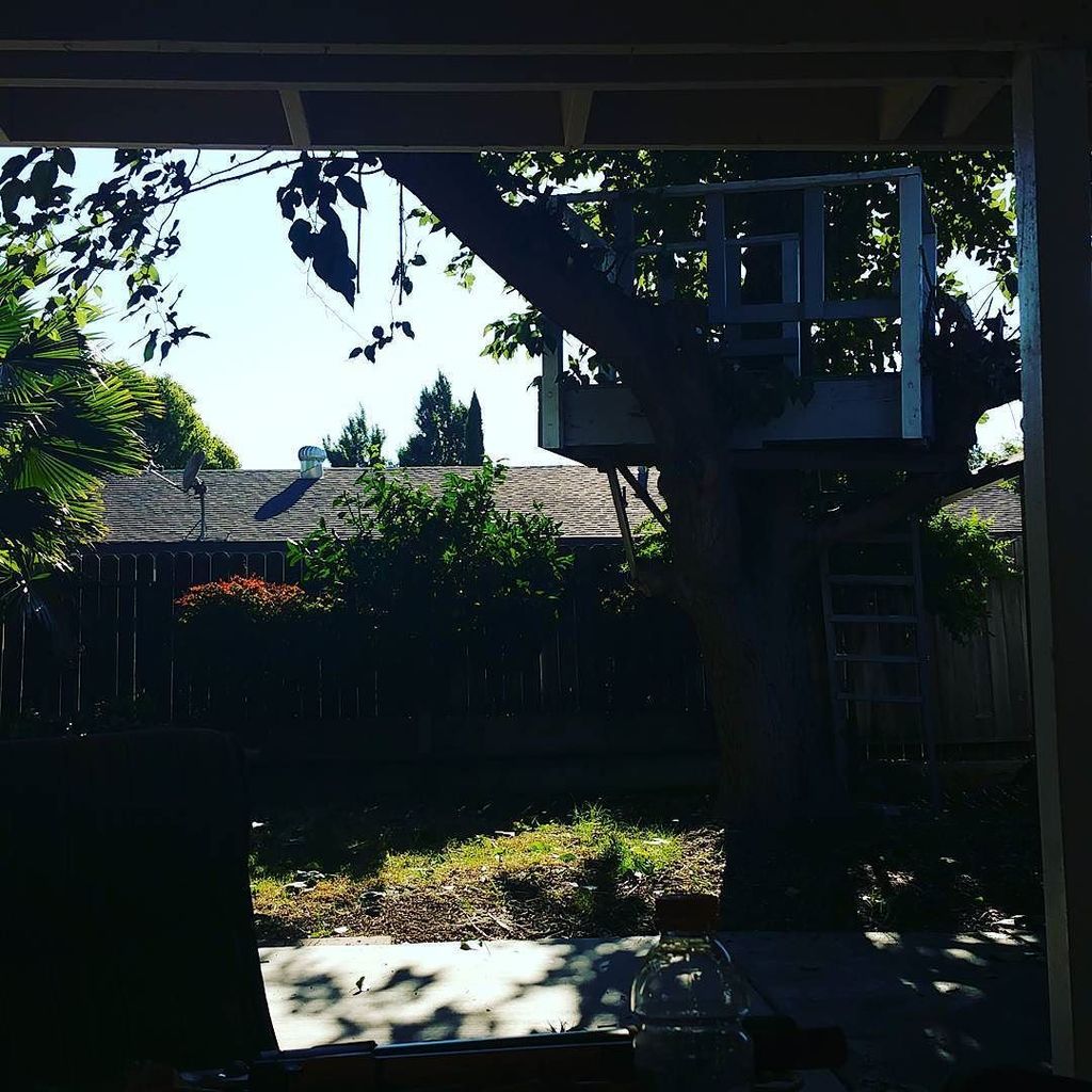 AmyFergen's tweet photo. #weekendwarrior #homeownerlife #treetrimming #bigasstree #iusedachainsawtoday #sore #noblo… https://t.co/5Wl6LiGUCi https://t.co/q2ioETAE6u