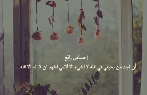 mauso1431's tweet photo. احساس رائع💓. https://t.co/LWtFsCsQ5z