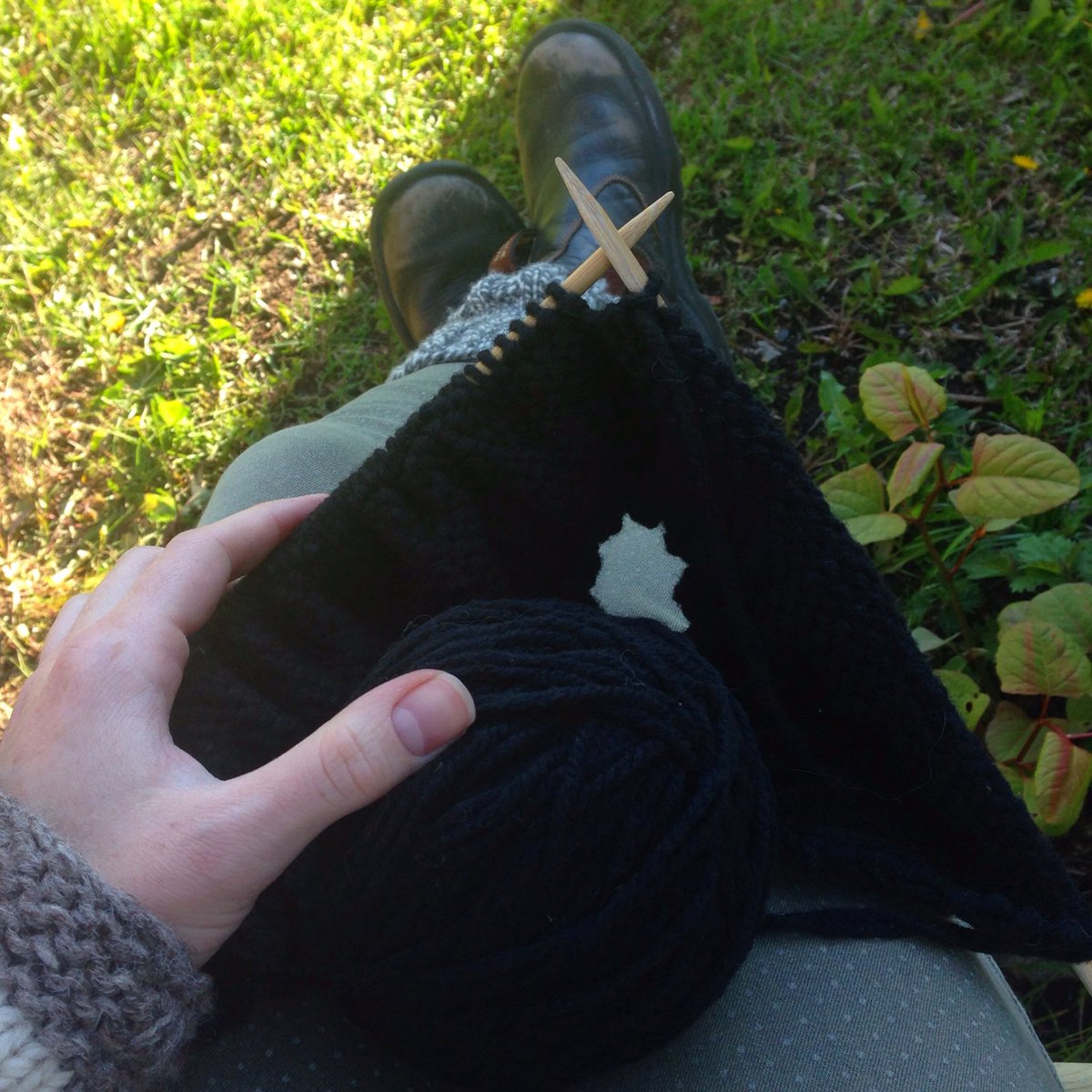 NatureThreadsNL's tweet image. Worldwide Knit In Public Day 🐏
#WWKIP #Twillingate #Newfoundland @briggslittle