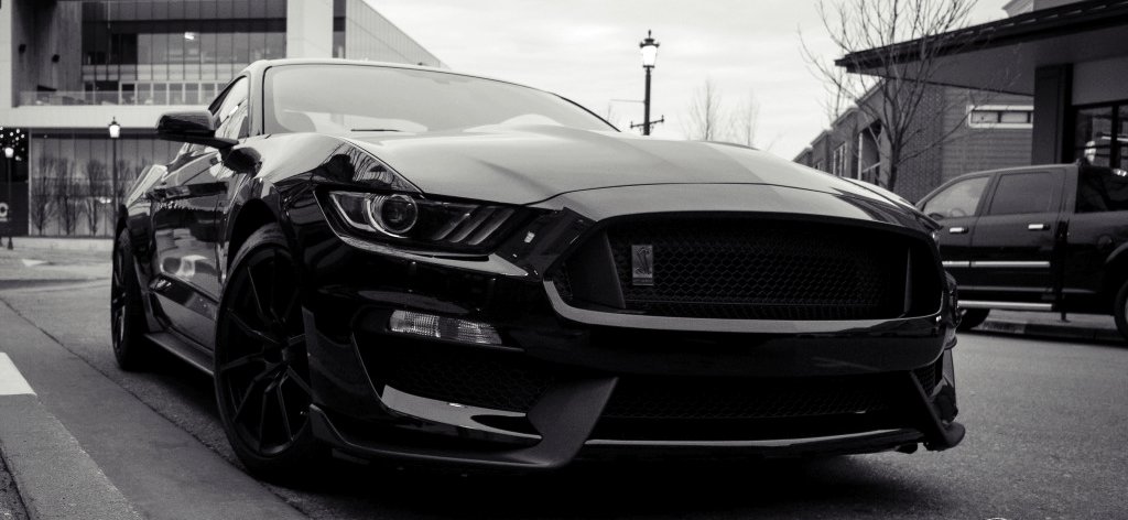 dailymustangs's tweet image. Beast. 💪