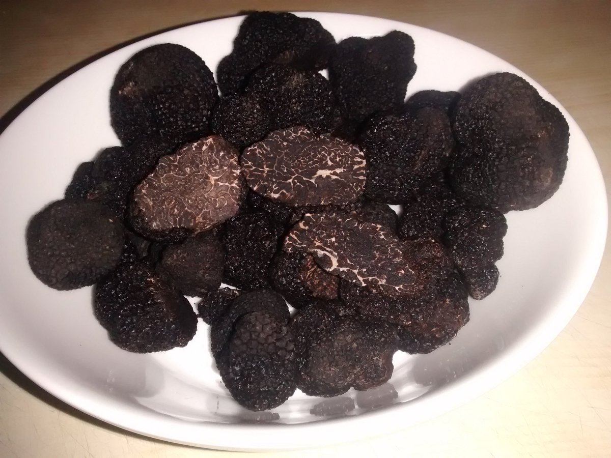 Cyprus Truffles (Cyprus_Truffles) Twitter