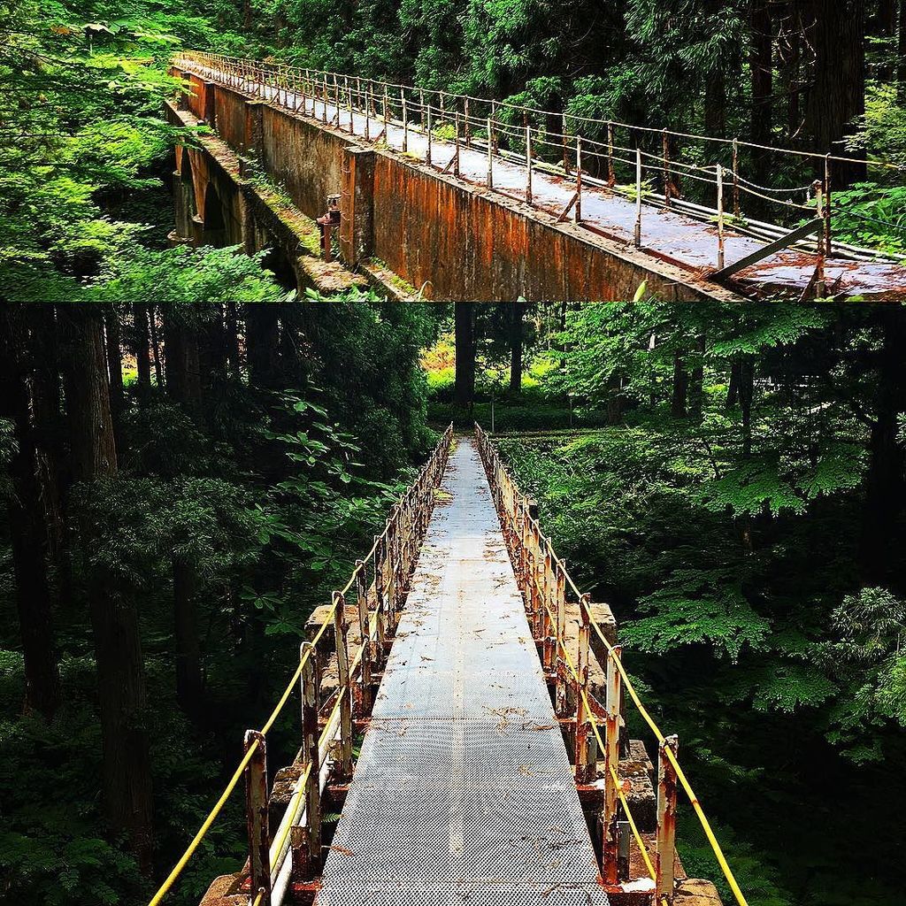 ZakiCarpenter's tweet photo. 林道の途中に水路。歴史を感じる。
#ツーリング#林道#新潟#仙見川#水路 https://t.co/LBS58kQRcH https://t.co/gw2NADSfLW