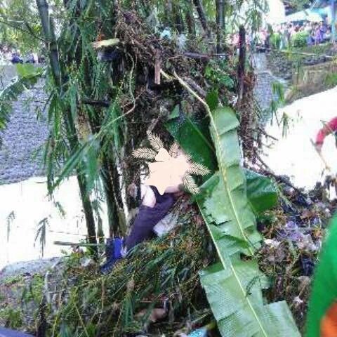 Ir Susanto tweet media