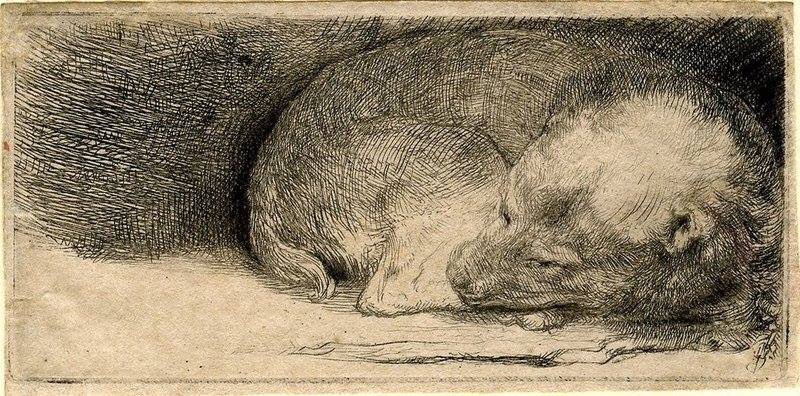 BatsikhanS's tweet photo. Rembrandt

Sleeping puppy  -  1640 https://t.co/Zvl6zQ2T5p