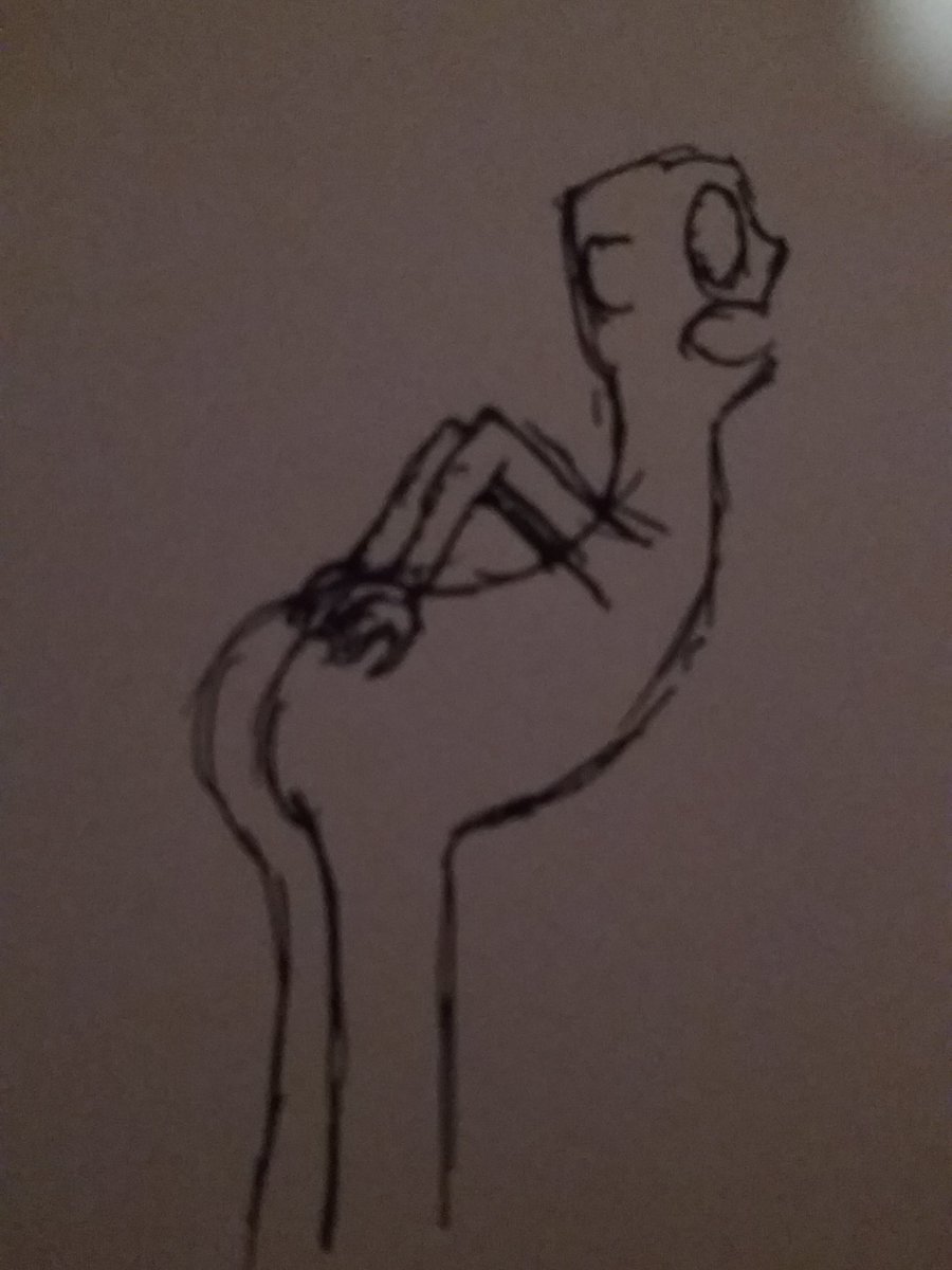 (I think he broke his back but his butt is fine)