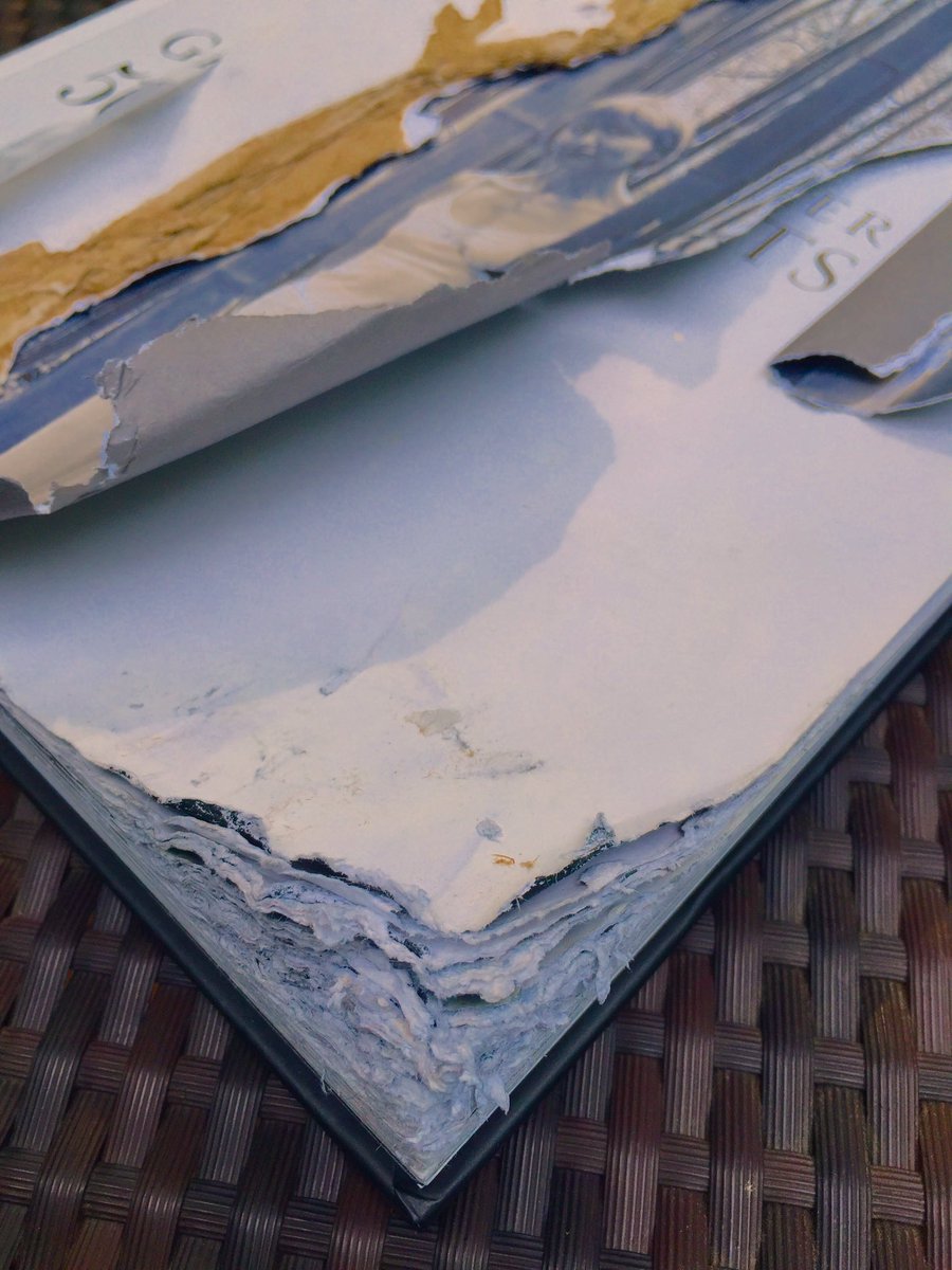 A fan DEVOURED my book. Literally.