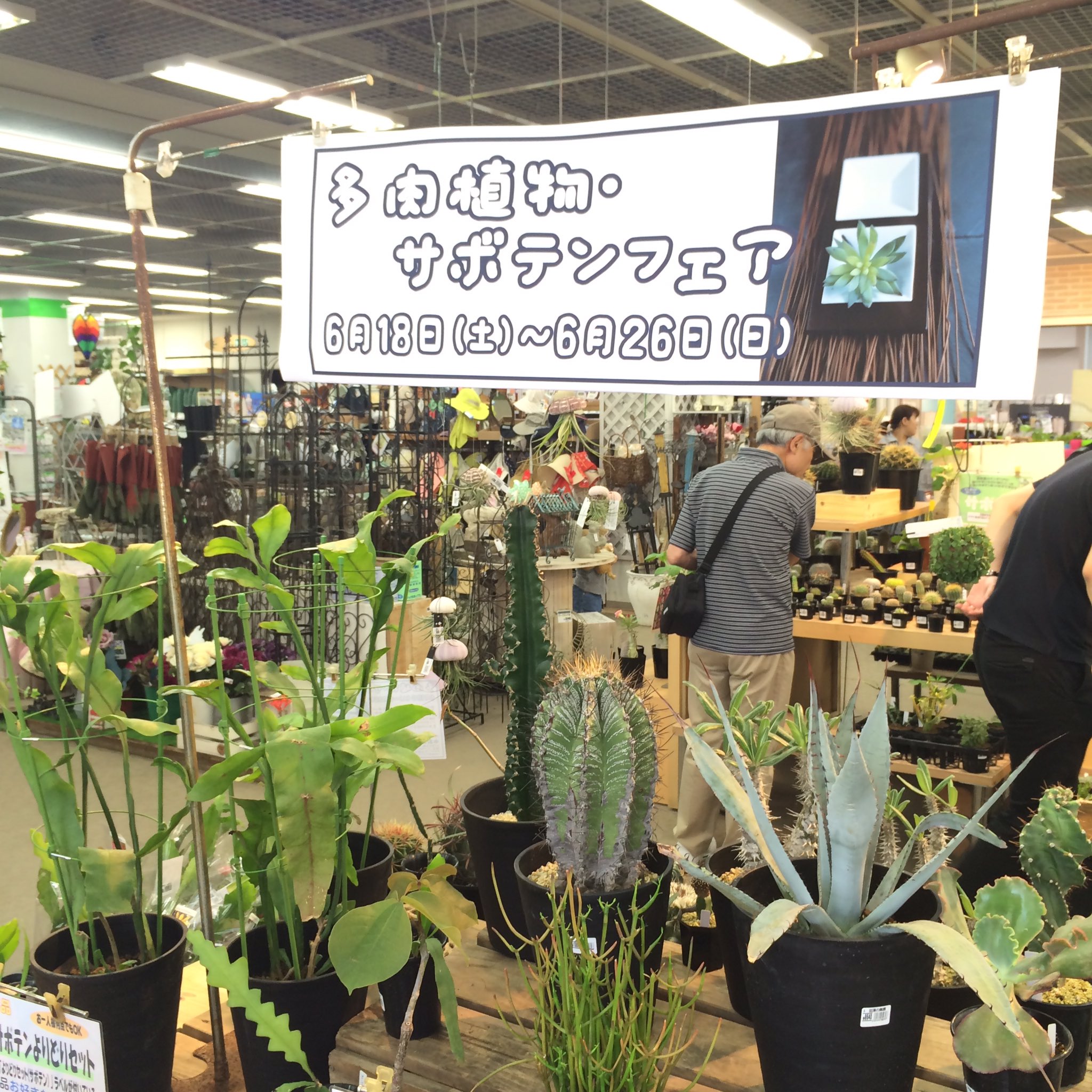 ガーデンセンター横浜 Twitter Search Twitter