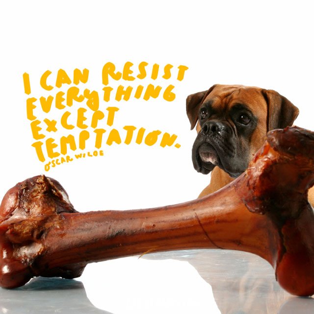 BrightDrops (Quotes) tweet media