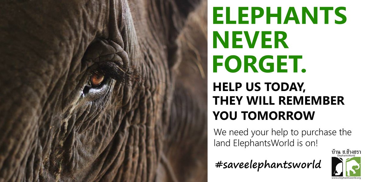 ElephantsWorld1's tweet photo. Help #ElephantsWorld today and our elephants will never forget you! You can donate here: https://t.co/dASTqG4g7l https://t.co/VA1rJylqP0