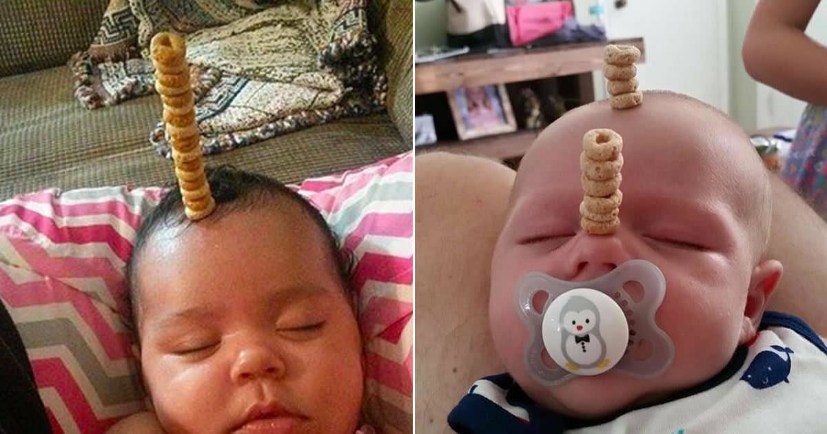 9GAG's tweet photo. Dads Are Competing To Stack Cheerios On Their Babies (By Life of Dad)
Happy Father's Day!
https://t.co/tqCb7tcrul https://t.co/CysFVVUUdp