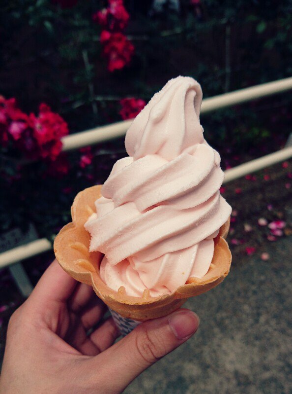 「大館の石田ローズガーデンバラ祭り。バラソフト食べてバラシフォンも買ってきた。あと」|ロボクのイラスト