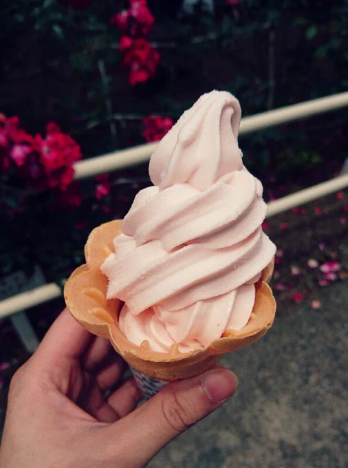 大館の石田ローズガーデンバラ祭り。バラソフト食べてバラシフォンも買ってきた。あとパンフがかわいい 