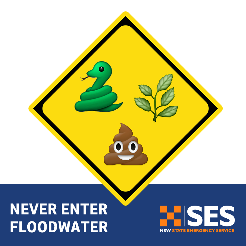 NSW SES ISR tweet media