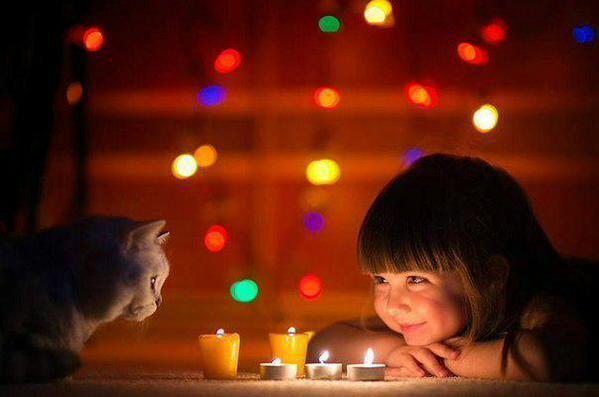 multistagecorre's tweet image. thanks to the creator for being alive