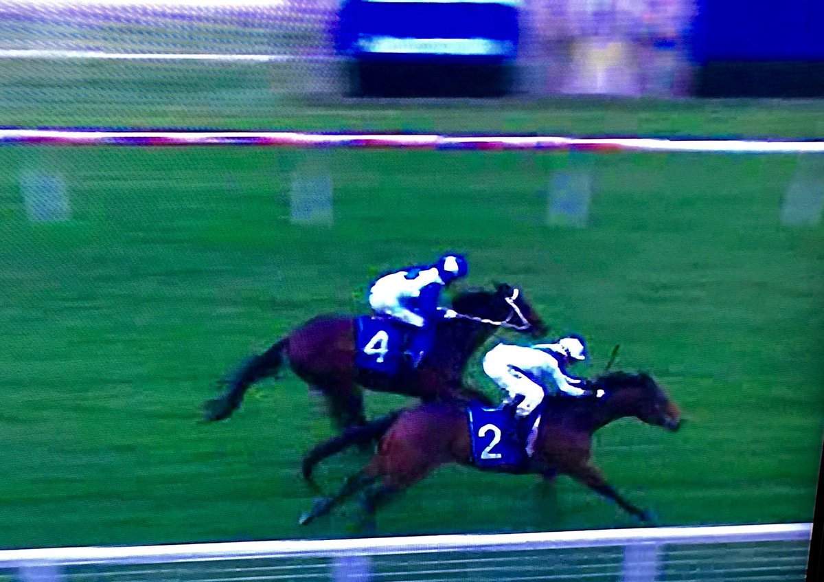 EquianoClub's tweet photo. #DEVILSPINCH 3G Equiano ex Miss Shakira wins well at Sale VIC in soft 8 for Col Little @adam_sangster @newsellspark https://t.co/NNrkgzlc6K