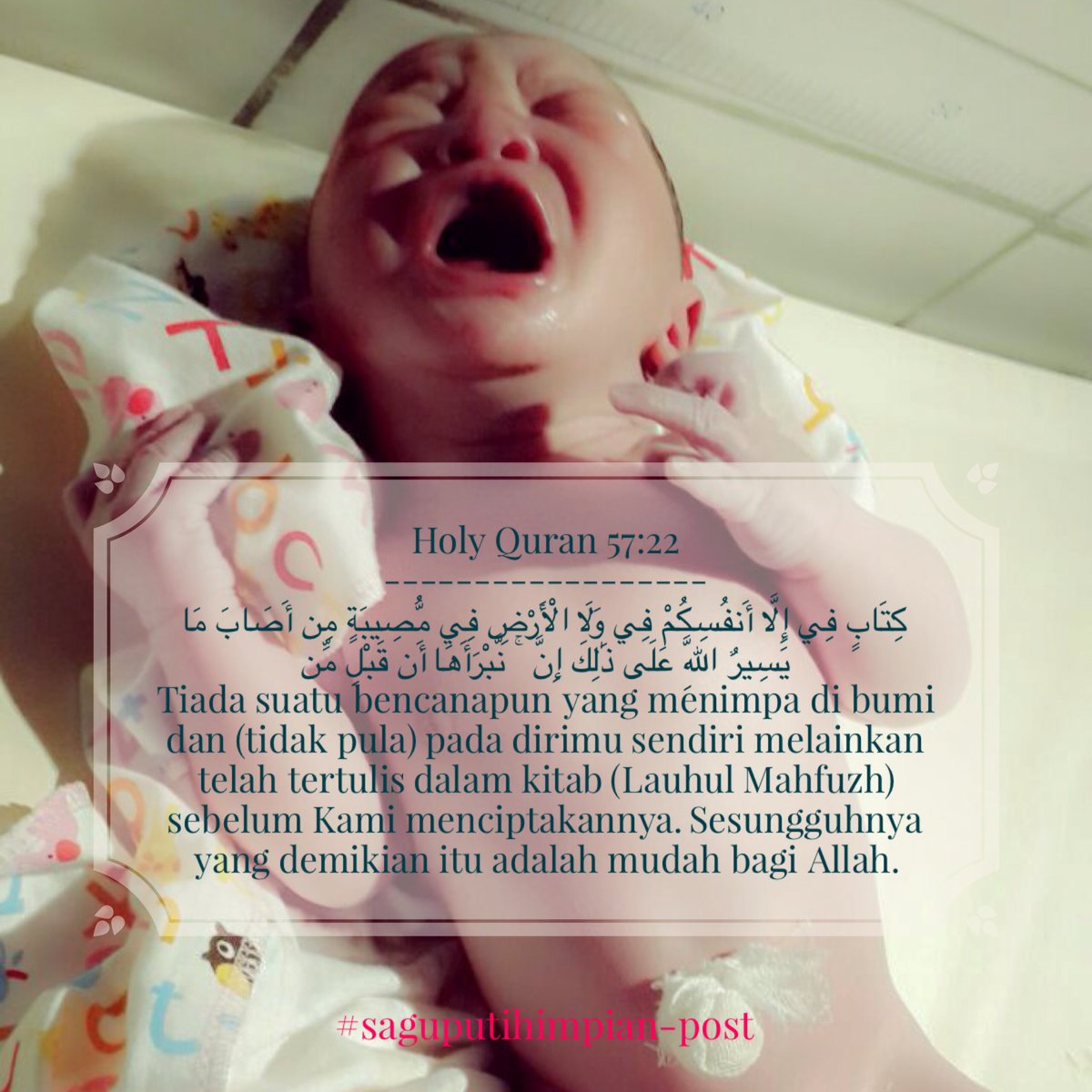 Alfisyahrin Kamil tweet media