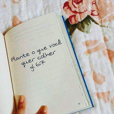 Biamello019's tweet photo. Quero planta mais #amor
#Deuséamor https://t.co/4oDL7xLTCd