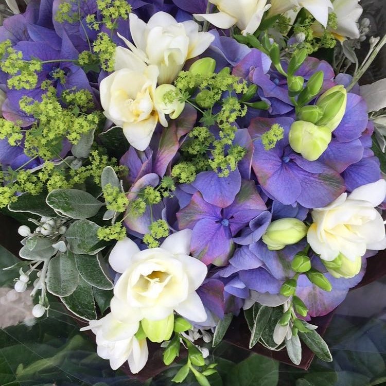 Scented Freesia, Alchemila, Hydrangea and Scenecio, tied to perfection