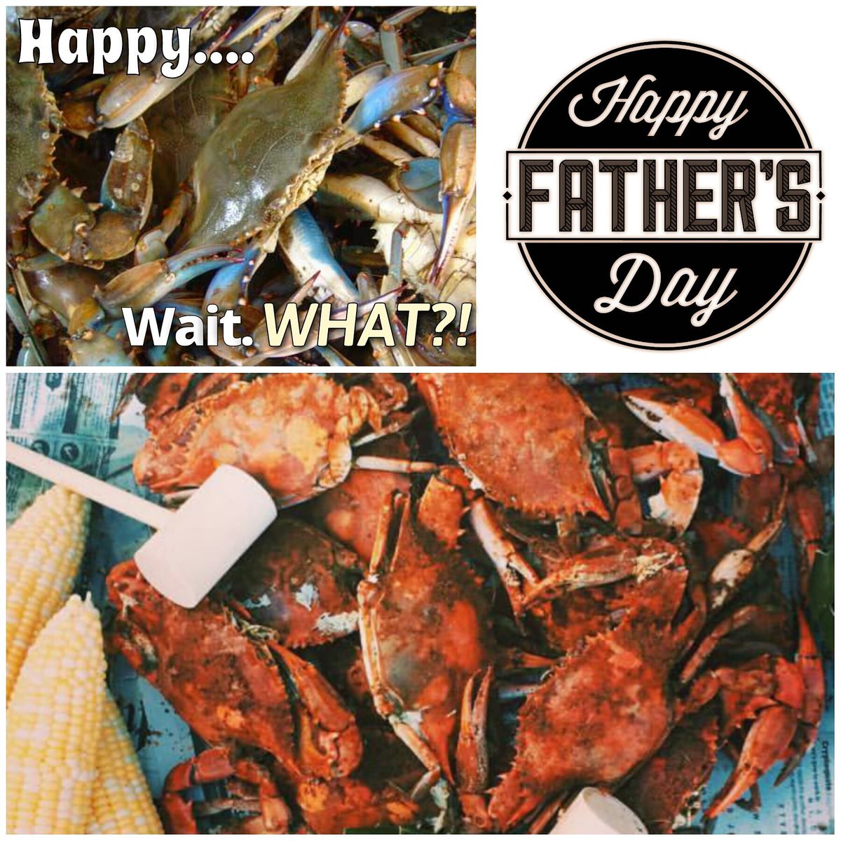 ICSharks's tweet photo. #HappyFathersDay #bluecrabs #marylandstyle #freshfromflorida #reelfresh #reelfun #realflorida #freshseafood #crabs https://t.co/3tcF8eQ1uW