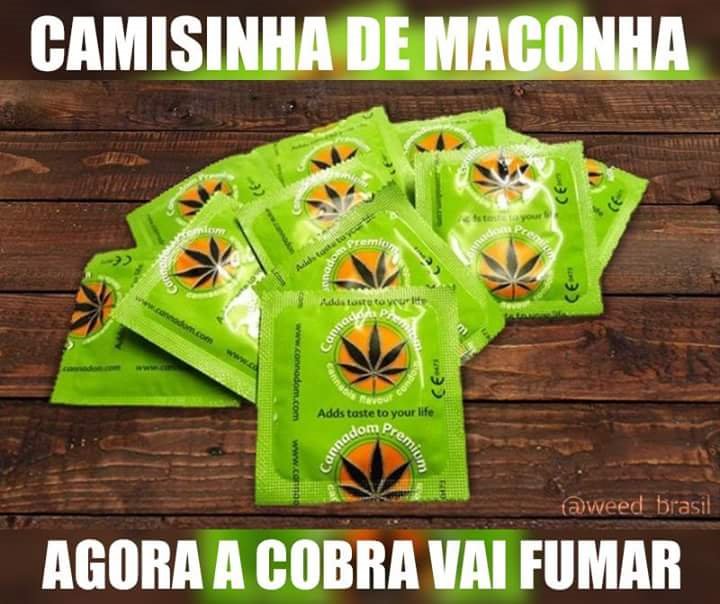 Tiago de paula (@alinetiago5) on Twitter photo 