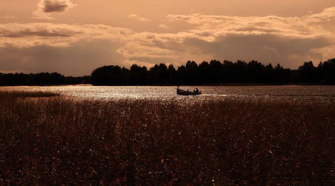 Prikaži sliku na Twitteru