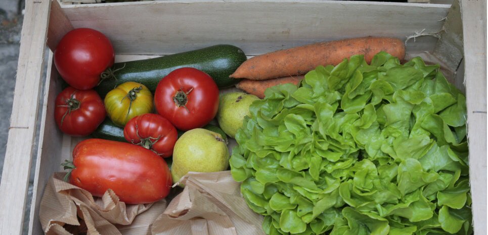 alimentationbiologique - Twitter Search / Twitter