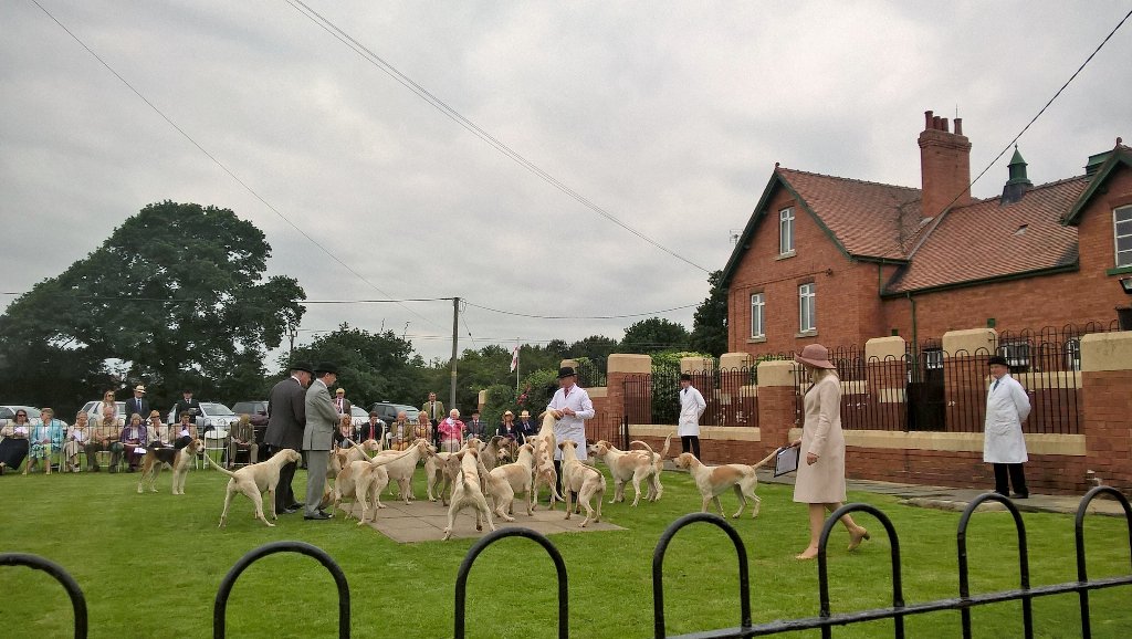Faye_Lucy's tweet photo. Major Easby &amp; Mr Peel assessing the bitches in yesterday's Puppy Show https://t.co/xLD72Ei9FM