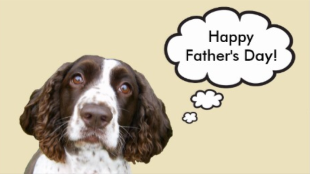 Gates are open for the 2nd day of the 29th Welsh Game Fair. 

Wish you all a great day out. Happy Father's Day too!