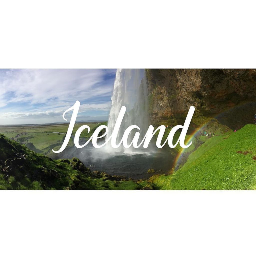 Full Harbor tweet media