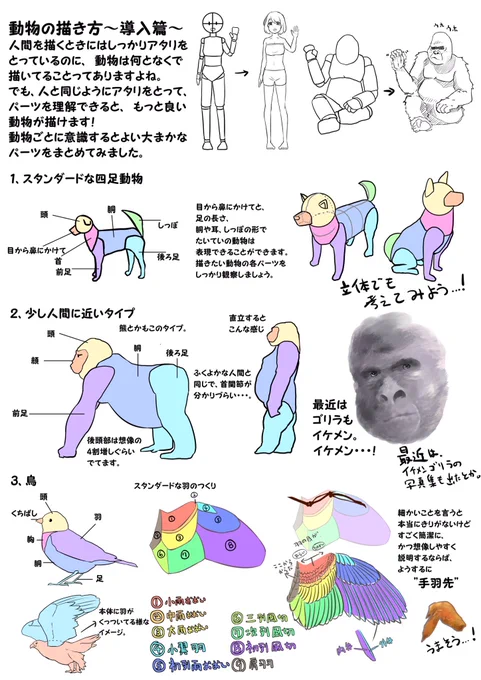 自分用のメモです。
絵を描かない人も見て楽しい資料だと思います。
上手い人は見ないでください。 