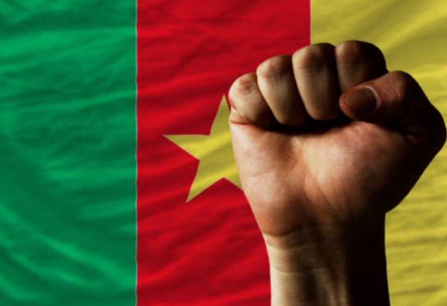 kevin_morel1's tweet photo. #IAM237 https://t.co/bwlEPZiZ4B