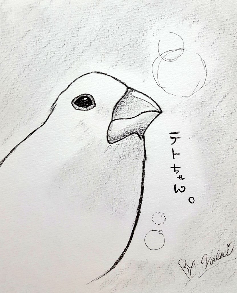 O Xrhsths 文鳥マスター𓅌モカブラウン文鳥なおみ Sto Twitter ようたん宅のテトちゃん なおみ宅のチッチたんﾐ ɞ 文鳥 白文鳥 デジタル絵 モノクロ絵 デジ絵 イラスト 似顔絵 文鳥マニア モノクロ 鉛筆画