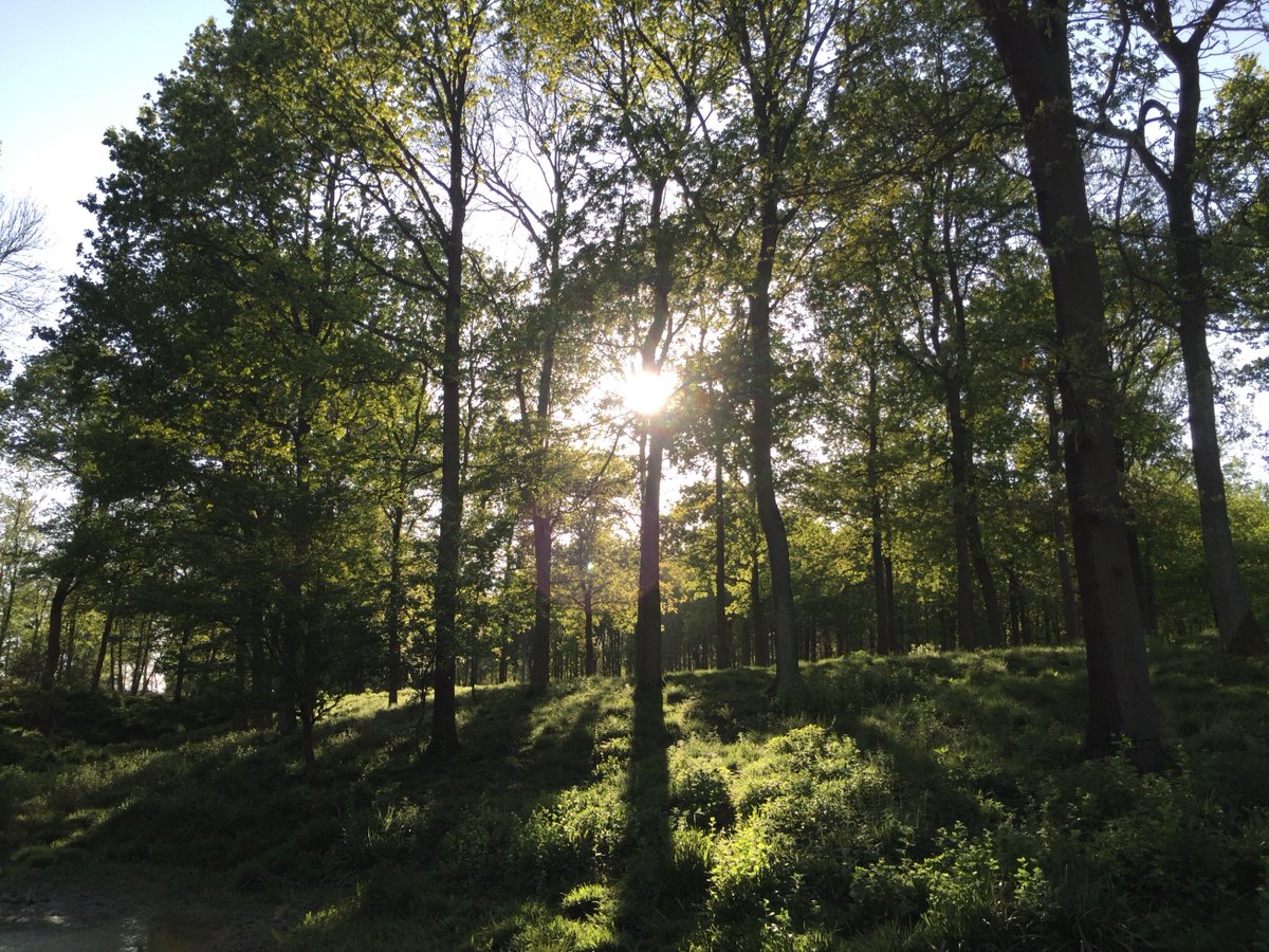 Beaumont House (BeaumontWood1) Twitter