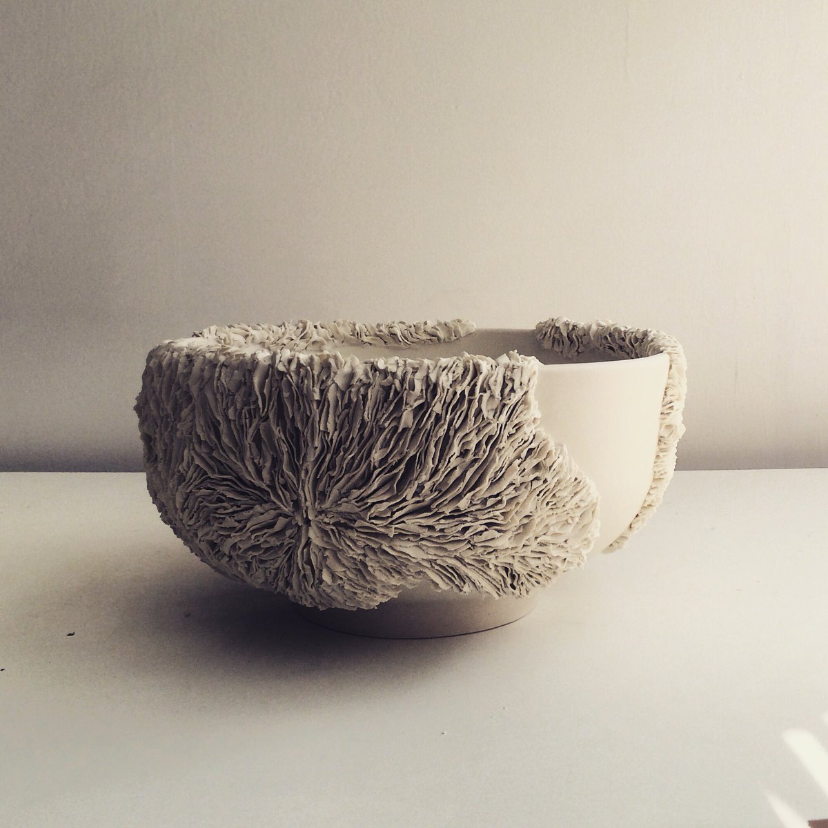 Olivia Walker tweet media