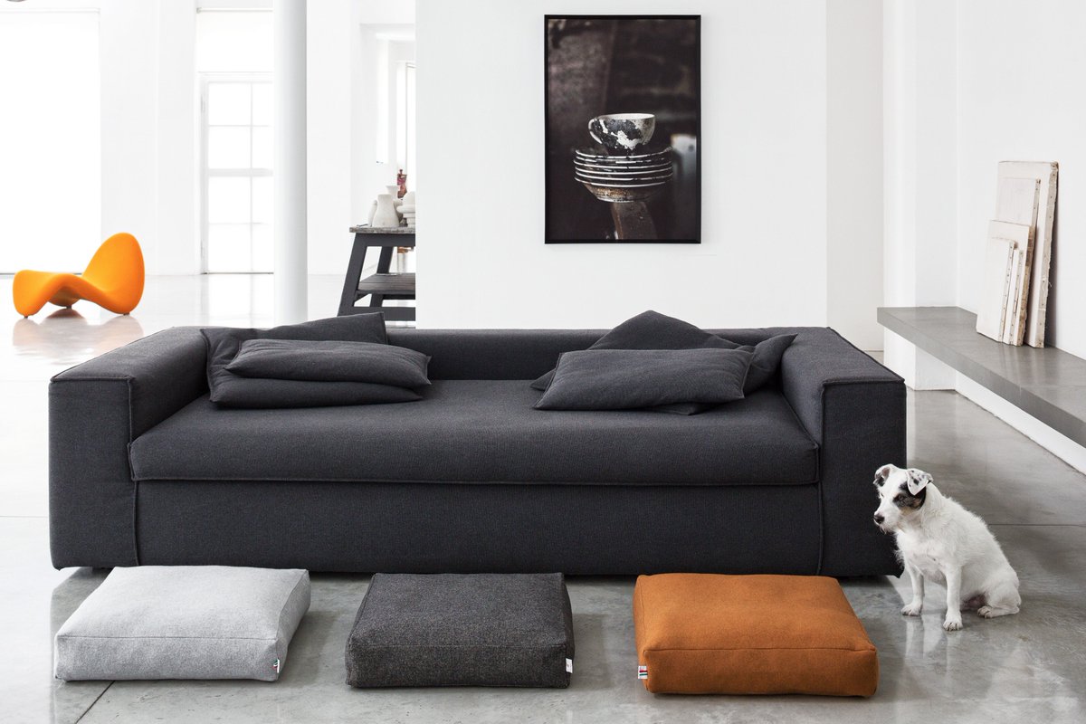 Tailorsden's tweet photo. Discover @Tailorsden and raise your interior design style.
Visit https://t.co/dN3leaWknb  #Dogbeds #NotJustForDogs https://t.co/UqGwDczU7t