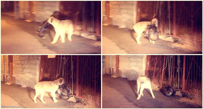 Ver imagen en Twitter