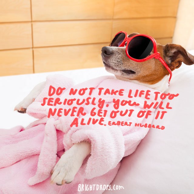 BrightDrops (Quotes) tweet media