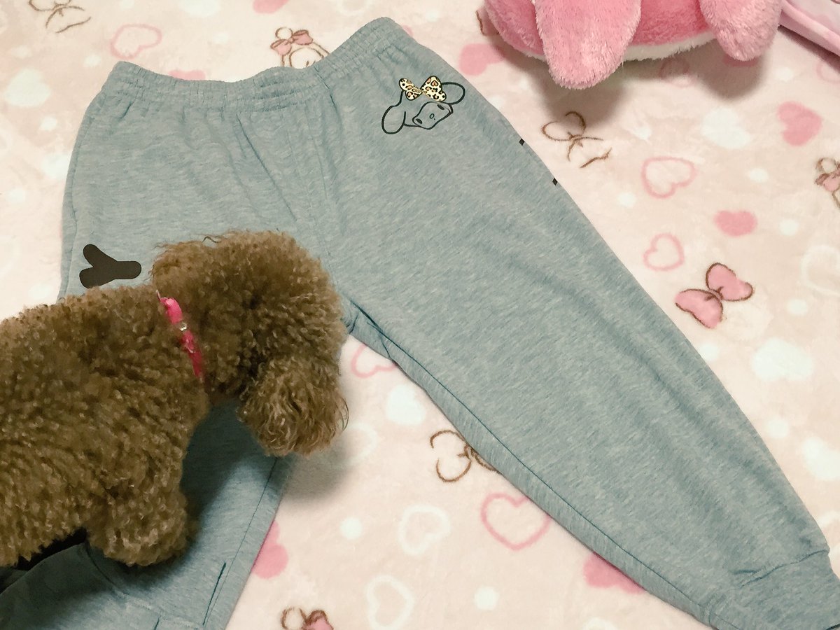 Sa 購入品 しまむらのマイメロのズボン セール価格の 900 苺のもあったけどlサイズだったので ヒョウ柄 ヒョウ柄もすきだよ あとダイソーでコップも かわいいね Sa 購入品 しまむらのマイメロのズボン セール価格の 900 苺のもあったけどlサイズだったので ヒョウ柄 ヒョウ柄もすきだよ あとダイソーでコップも かわいいね