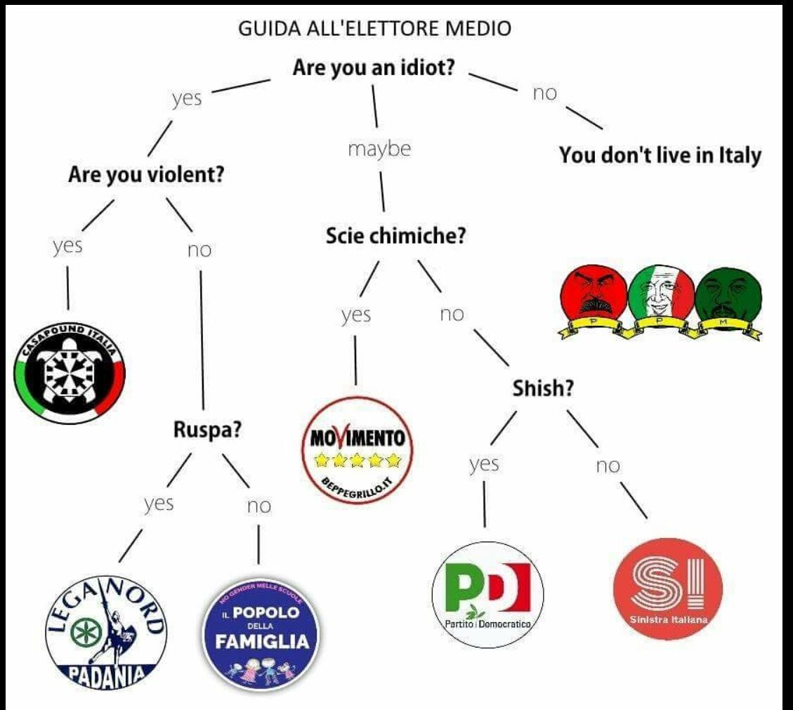 LorisSper's tweet photo. GUIDA ALL'ELETTORE MEDIO #ballottaggioRoma #amministrative2016  #Shish https://t.co/vxCGnfKaAT