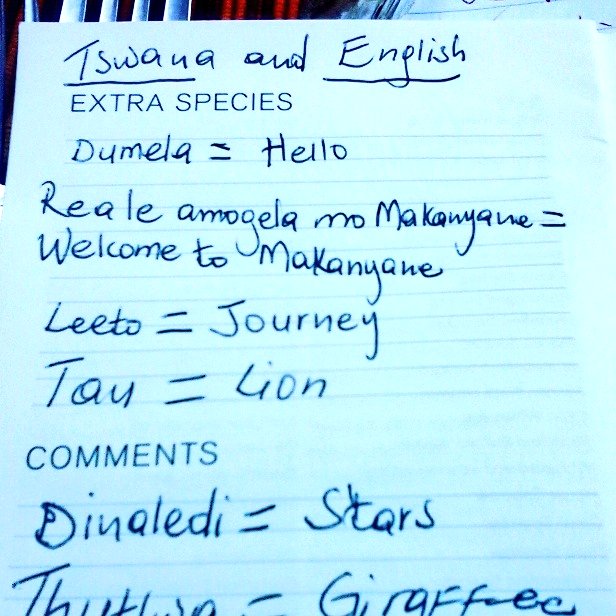 Dumela! My idea of the ideal pairing  #brunch #language <a href="/TCBMedia1/">TCB Media</a>  <a href="/MadikweGR/">Madikwe Game Reserve</a> #mtbedsLuxuryTravel #Makanyane