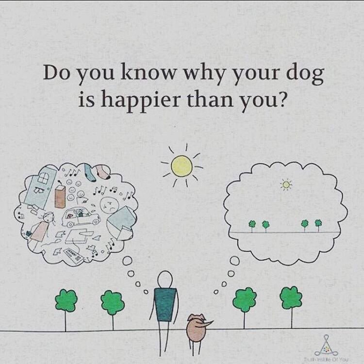 philosophy_muse's tweet photo. https://t.co/VZf7ZtaDUX