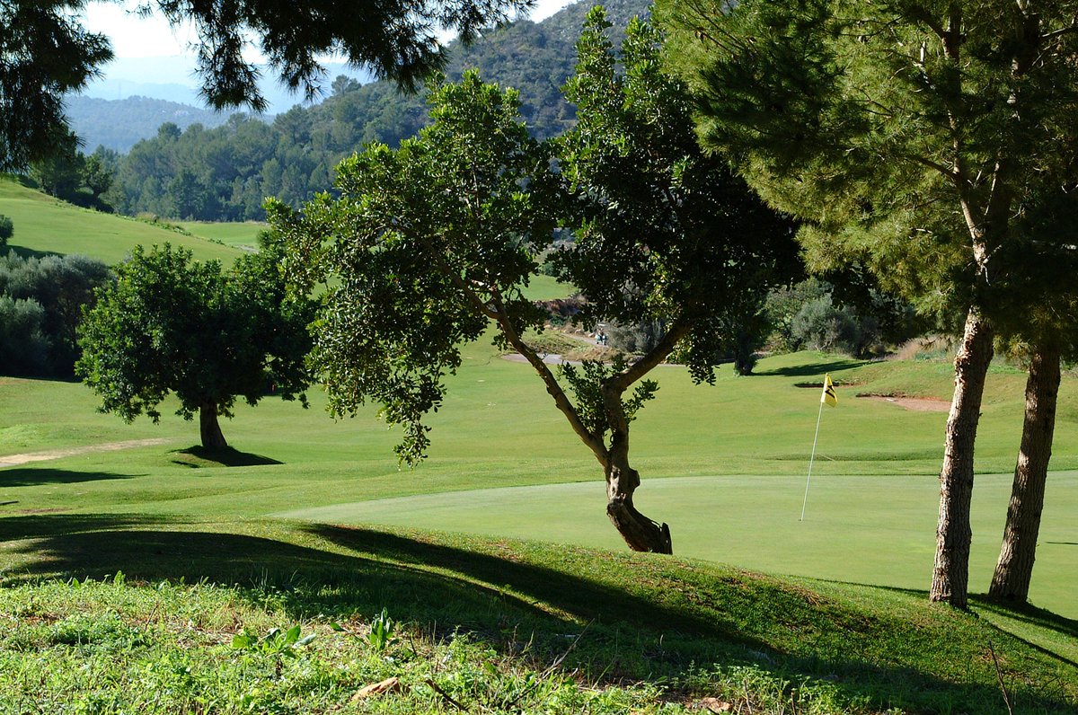 golfsontermens's tweet photo. Día soleado y excelentes temperaturas para disfrutar de nuestro Campo.
reservas@golfsontermens.com https://t.co/Y9BdKwy4ZP