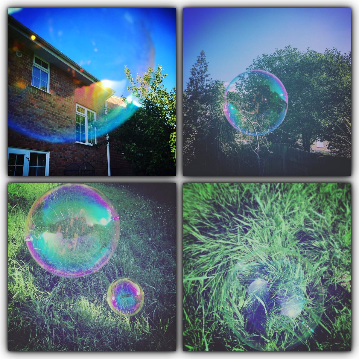 Davina_Morris's tweet photo. #playingwithbubbles in the #garden very #theraputic #calming #beautiful takes me back to #childhood https://t.co/0X6RMQEsyt