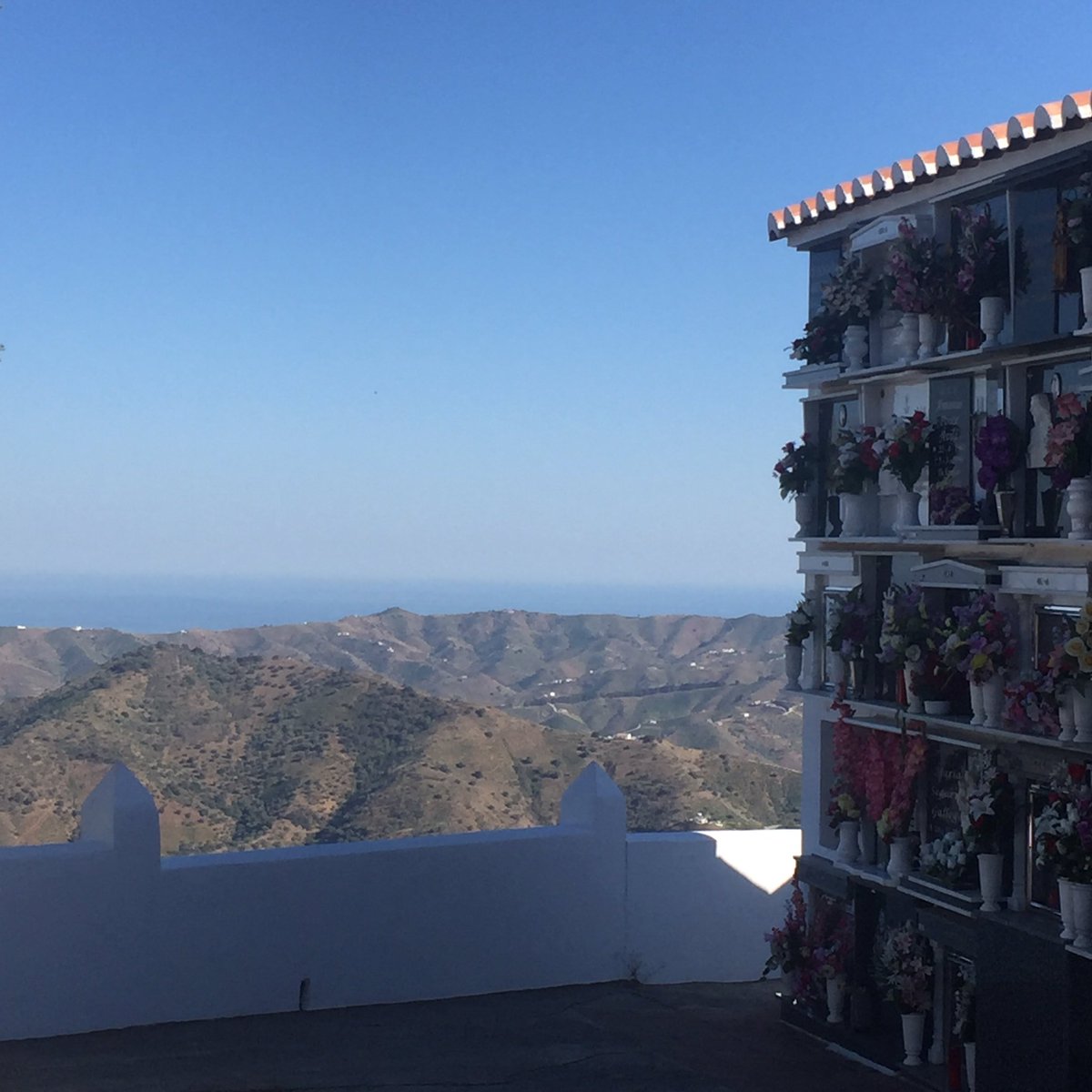 KtPermaculture's tweet image. #30DaysWild day 19 - bird watching from the cemetery last night @DyingMatters @30DaysWild #magicalviews #Andalucia